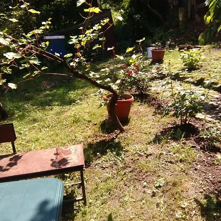 Pejdah Apartmán *