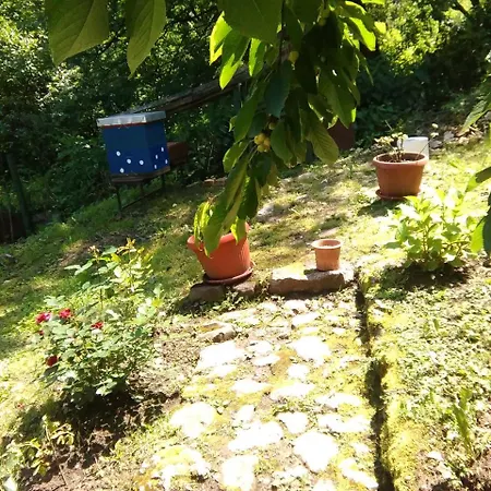 Apartmán Pejdah Sarajevo